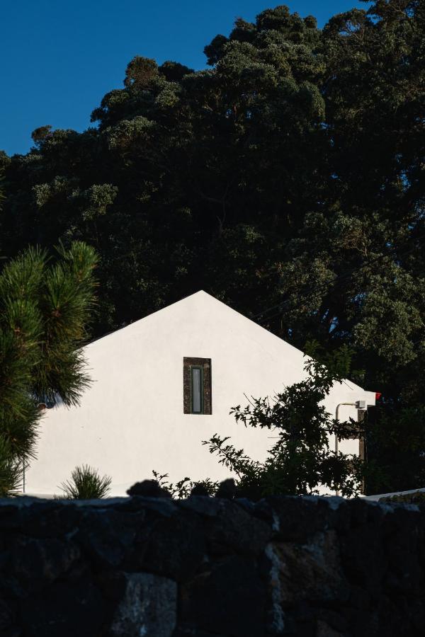 Vakantieboerderij Entre Muros - - Casa Com Jardim E Acesso Direto Ao Mar