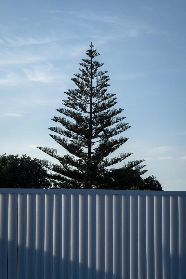 Entre Muros - - Casa Com Jardim E Acesso Direto Ao Mar Ribeira Grande